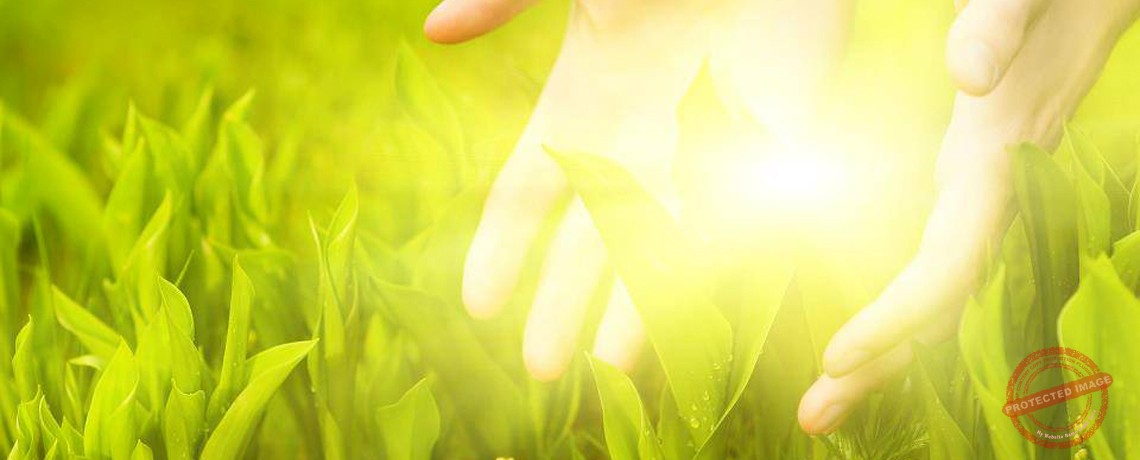 La Nature, médecin de l'âme